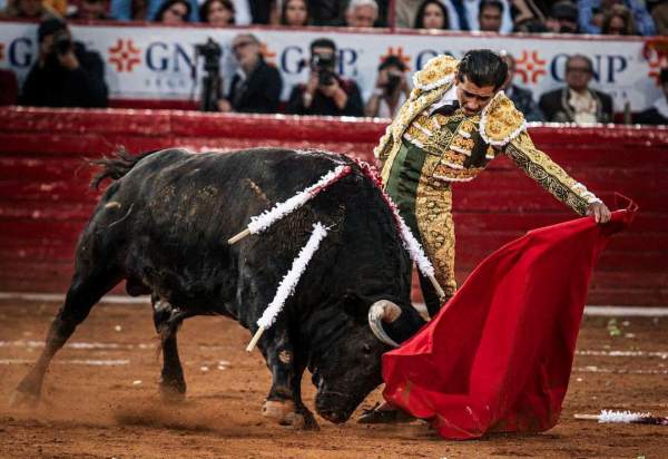 Joselito Adame se despide de los ruedos este miércoles en Huesca tras 18 años de alternativa