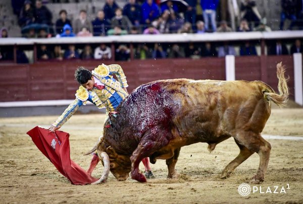 Oreja para Isaac Fonseca de un toro de vuelta al ruedo de Pedraza de Yeltes