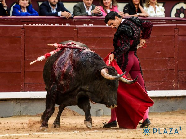 Los naturales de Aguado emocionan a Madrid