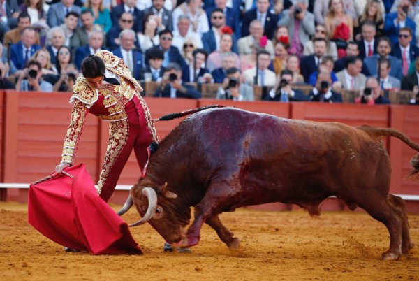 Perera gobierna a un extraordinario ‘Anárquico’