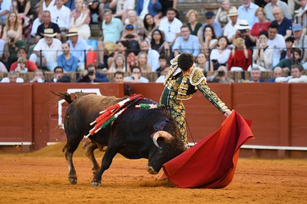 Carlos Tirado, que sorprende y cautiva, se alza como triunfador del Circuito de Andalucía