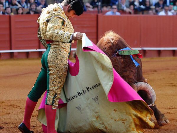 Morante, o cómo soñar con el toreo