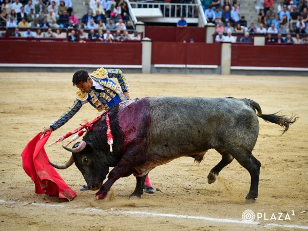 La raza de Gómez del Pilar se impone y corta una oreja de peso