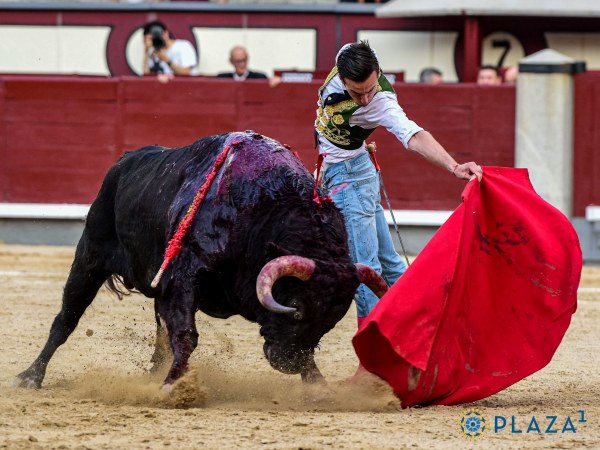 Un rotundo Molina, sin espada, en Madrid