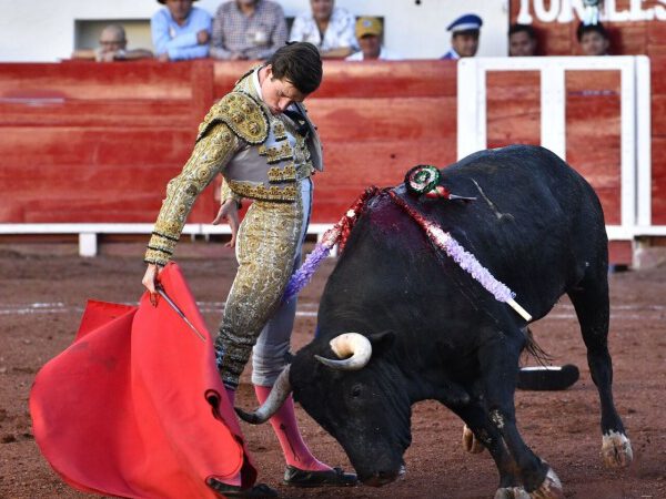 Bruno Martínez: ‘Me gustaría que el día de mi debut con picadores la gente saliera ilusionada con que hay un novillero con proyección y futuro en Pamplona’