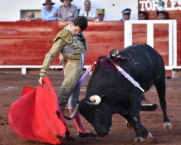 Bruno Martínez: ‘Me gustaría que el día de mi debut con picadores la gente saliera ilusionada con que hay un novillero con proyección y futuro en Pamplona’
