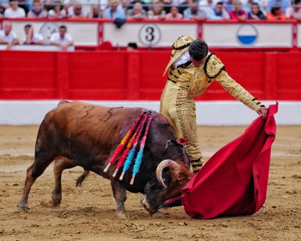 Diego Bastos y Bruno Aloi, primeras orejas de la Feria de Santander