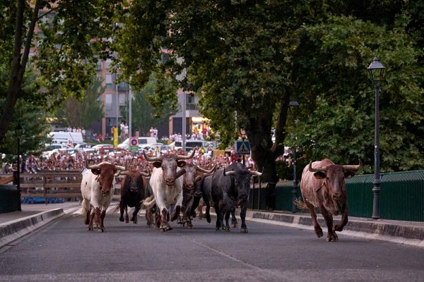 El encierrillo de San Fermín: la liturgia nocturna que da alma al encierro