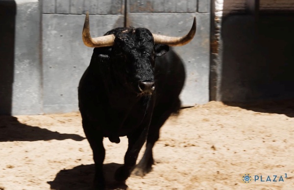 Los toros de Juan Luis Fraile para el jueves, desembarcados en Las Ventas