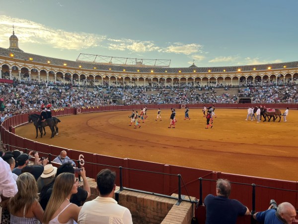 Bombita, Alejandro González, Julio Aparicio y Manuel Domínguez son los cuatro finalistas del Ciclo de Promoción 2025 de Sevilla