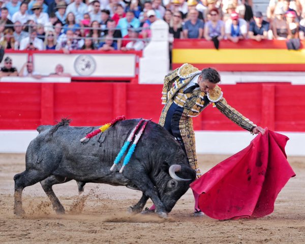 El magisterio de El Cid se impone ante un gran ‘Vengativo’ en el regreso de Victorino Martín a Santander
