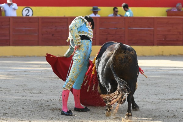 Suspendida la Final a Tres del Circuito de Madrid por la gravísima cogida de Sergio Rollón