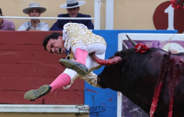 Bayona: la entrega de Molina en una corrida de la oportunidad marcada por la grave cogida de Juan de Castilla