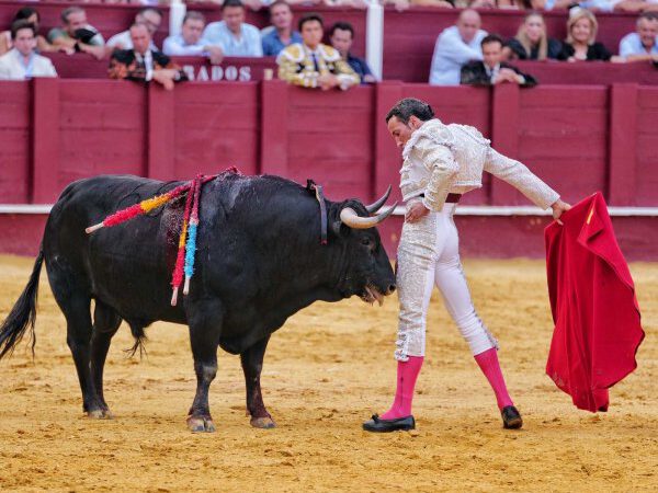 David de Miranda, galardonado con el Estoque de Plata ‘Antonio Ordóñez’ de la Diputación de Málaga