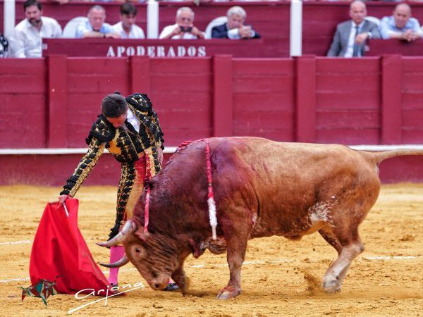 La torería de Urdiales y la verdad de Fortes, que corta una oreja, en Málaga