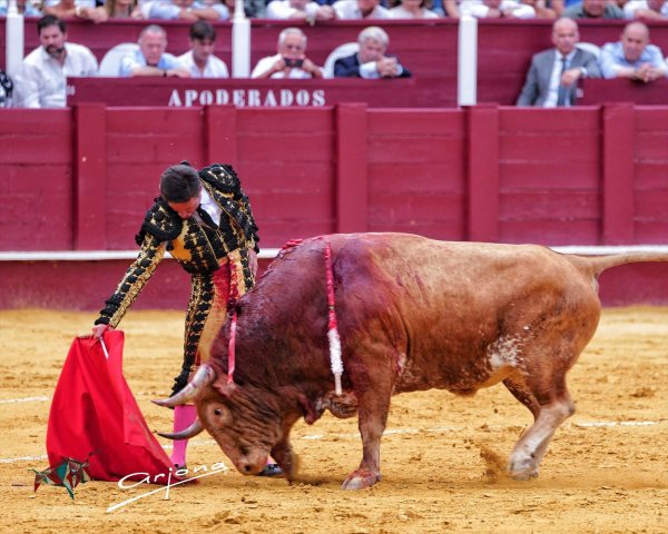 La torería de Urdiales y la verdad de Fortes, que corta una oreja, en Málaga
