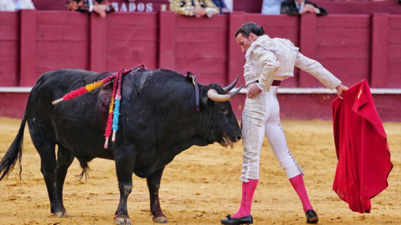 David de Miranda, a corazón abierto: raza y verdad en La Malagueta