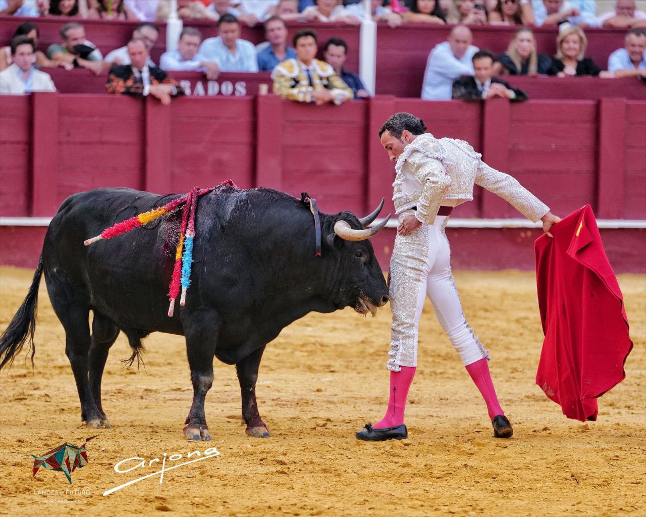 David de Miranda, a corazón abierto: raza y verdad en La Malagueta