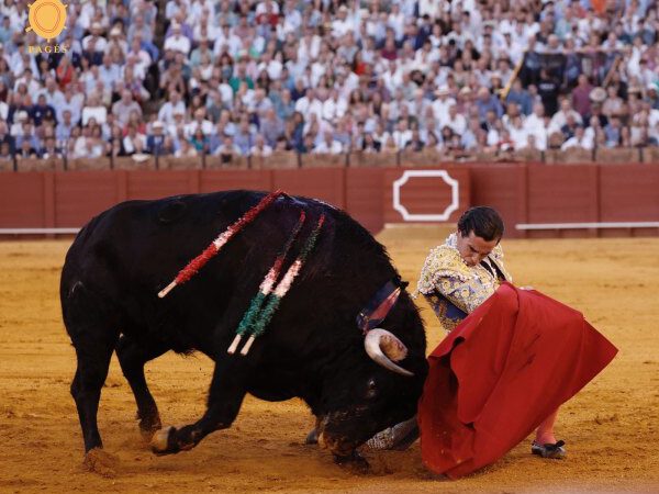 La torería de Ortega, la verdad de David de Miranda y el empaque de Aguado en el inicio de la Feria de San Miguel