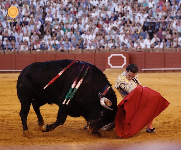 La torería de Ortega, la verdad de David de Miranda y el empaque de Aguado en el inicio de la Feria de San Miguel