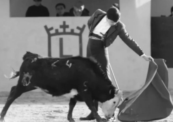 Fallece el novillero Nicolás Cubero, alumno de la Escuela Taurina El Juli