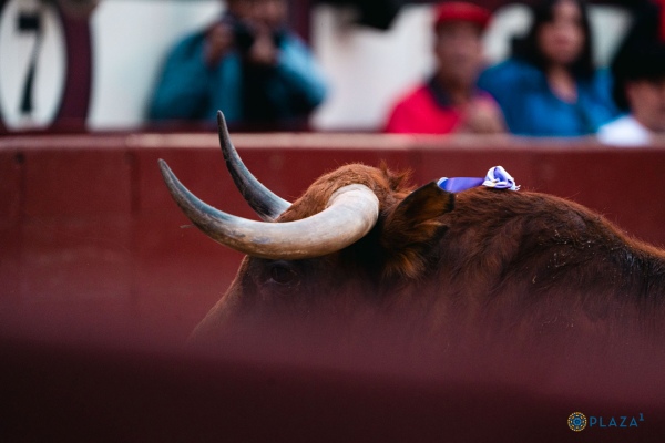 Las Ventas abre la temporada 2026 con torismo e hierros con personalidad