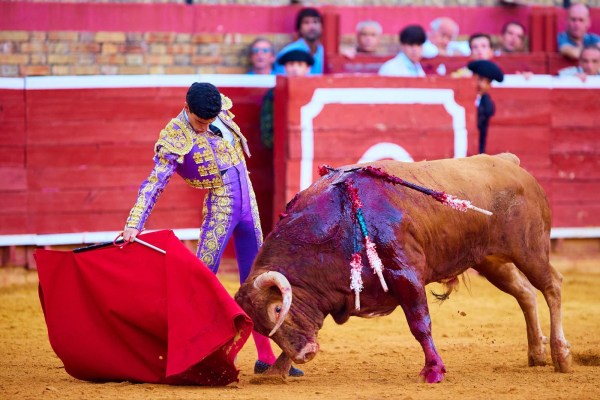 Enrique Toro: ‘El parón me ha curtido y me ha hecho mejor torero’