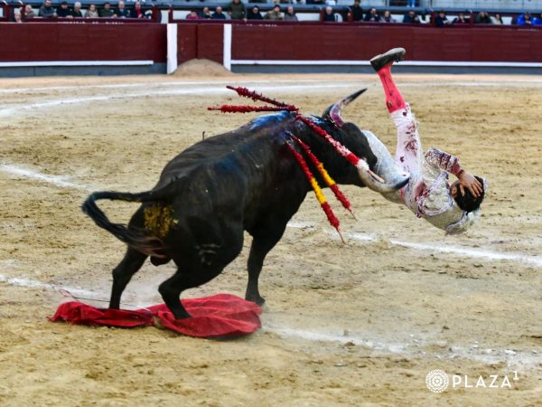 Cristian Pérez, herido grave en Las Ventas: ‘cornada de 20 cm en la pierna derecha que rodea la cara posterior de la tibia’