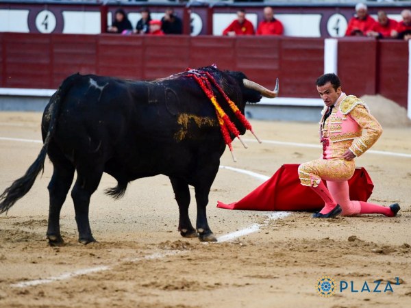 Damián Castaño, en medio de una corrida de Cuadri de poco contenido en Las Ventas