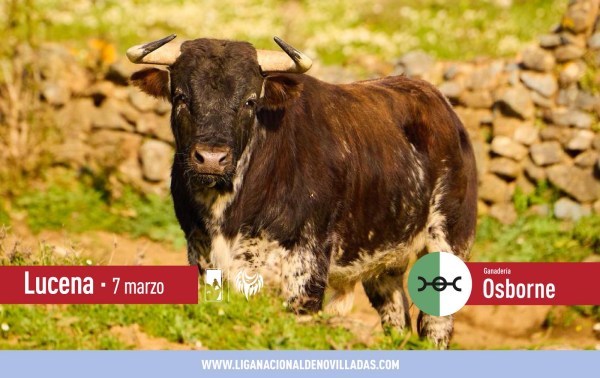 Los novillos de Osborne para la novillada inaugural del Circuito de Andalucía 2026
