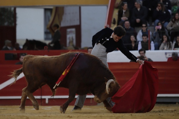 Tomás Rufo indulta a un buen novillo de Santiago Domecq en el festival de Bargas