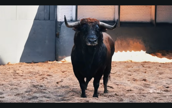 Los toros de Cuadri ya están en Las Ventas
