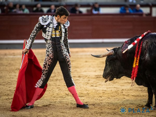 Pedro Andrés hace lo más destacado en la primera novillada de la temporada en Las Ventas