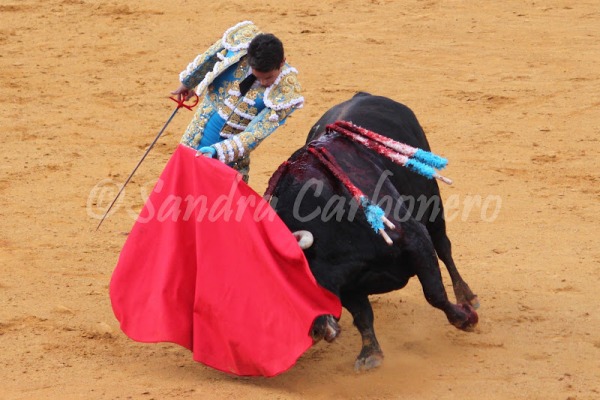 30 de abril de 2011: quince años del histórico indulto de ‘Arrojado’ en Sevilla