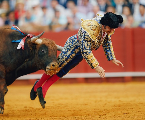 Morante, cornada muy grave en Sevilla con lesión esfinteriana y perforación rectal
