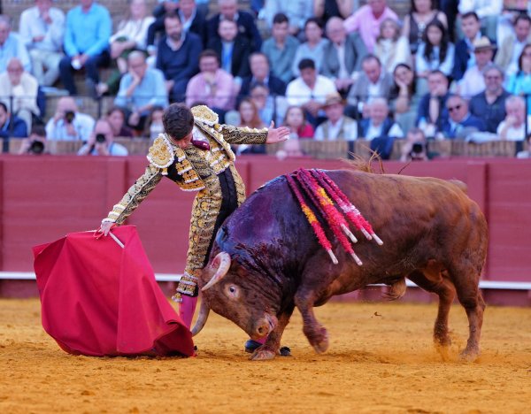 Aarón Palacio entra en Sevilla al natural y Santiago Domecq consolida su crédito en La Maestranza