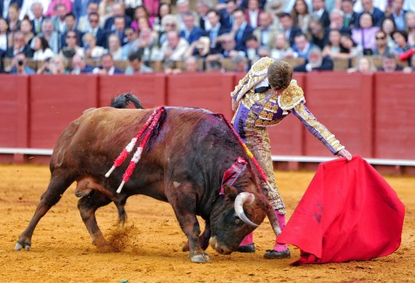 Borja Jiménez, coronado como príncipe de Sevilla