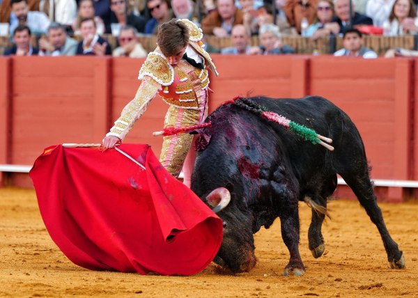 Las muñecas de seda de Julio Norte, en una novillada de gran clase de Talavante