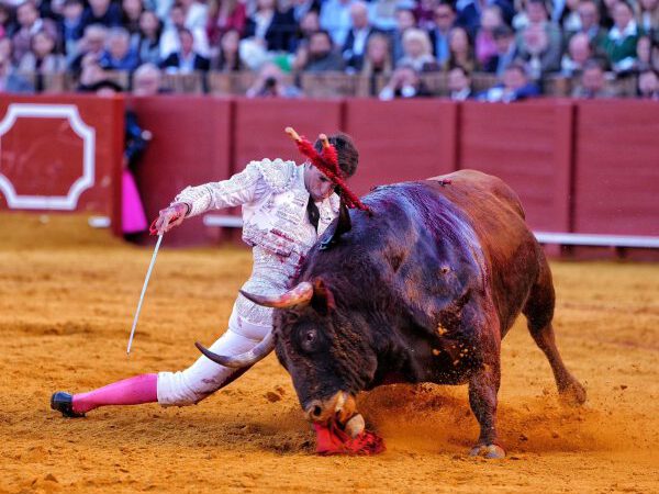 La verdad como única arma