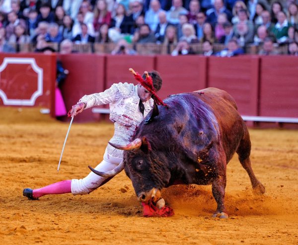 La verdad como única arma