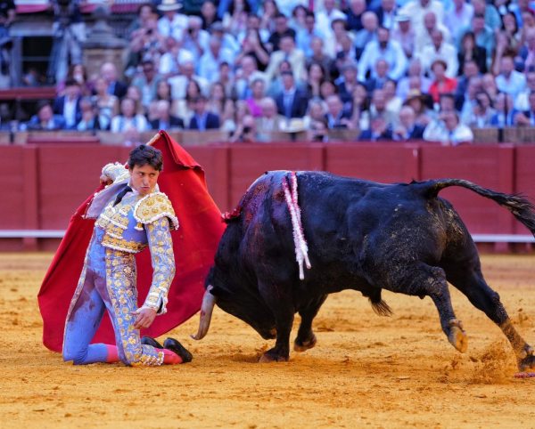 Con la épica, la gloria y la tragedia entre las manos