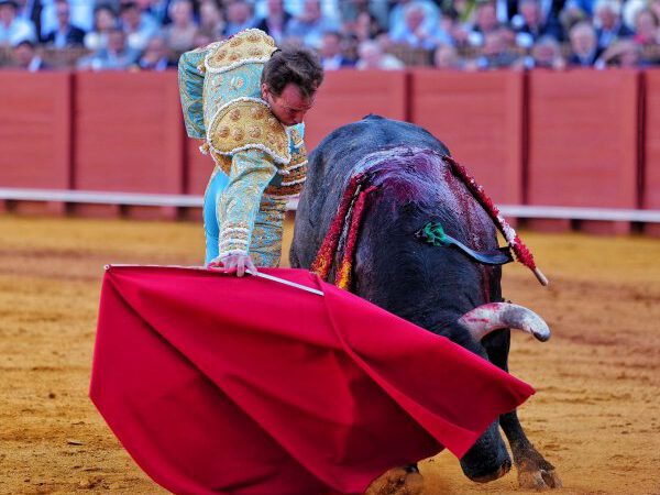 Escribano corta la única oreja y Román firma una faena de peso en una emocionante miurada