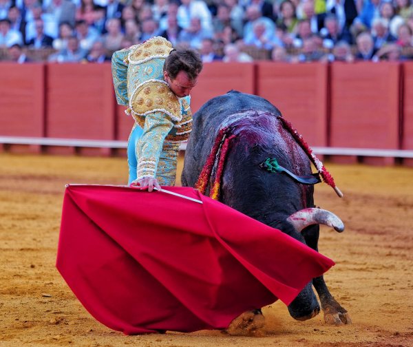 Escribano corta la única oreja y Román firma una faena de peso en una emocionante miurada