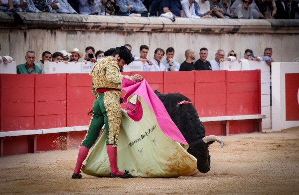 Morante de la Puebla no podrá actuar este sábado en Nimes