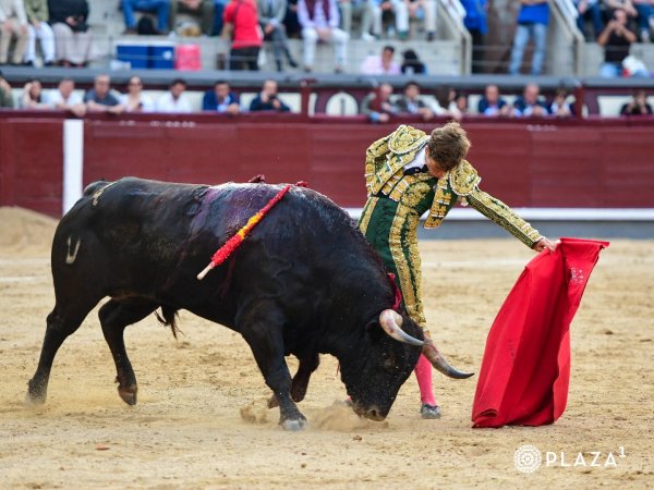 Buen toreo al natural de Álvaro Serrano en Las Ventas, sin premio por el acero