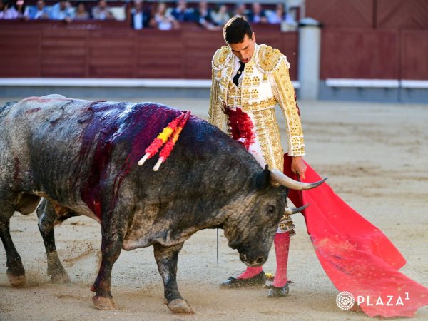 Venegas, la única ovación en la corrida de Saltillo de Madrid