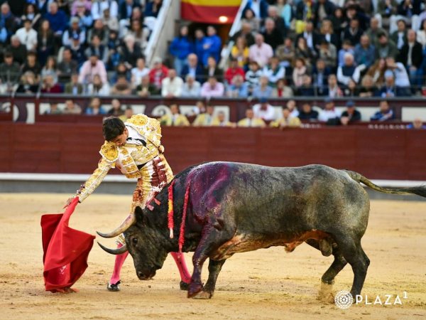 Importante confirmación de Manuel Diosleguarde en Madrid