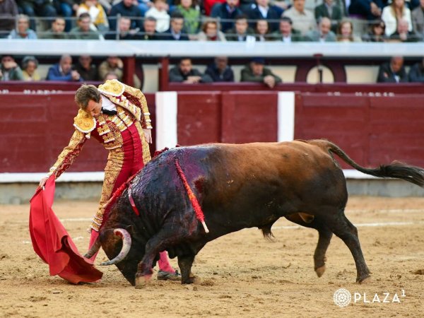Román y un importante ‘Enarbolado’, en la tercera de San Isidro