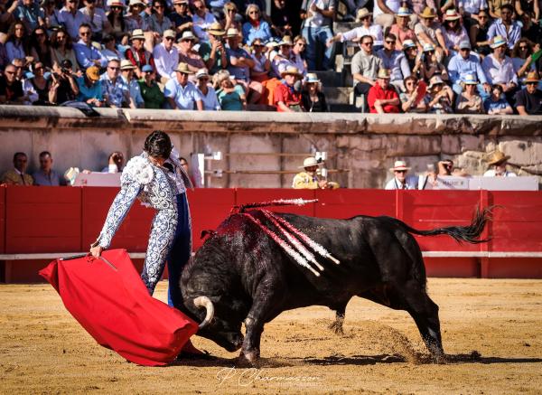 Castella: Coloso en el Coliseo, 100 orejas en Nimes