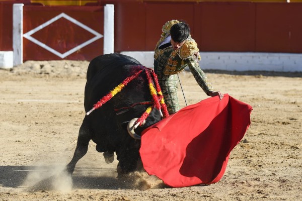 Manuel Diosleguarde y un importante ‘Caramelo’ en la vuelta de los toros a Daganzo de Arriba